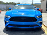 Used 2022 Ford Mustang GT Premium w/ Equipment Group 401A image 4
