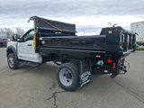 New 2025 Ford F550 4x4 Regular Cab Super Duty image 3