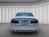 Used 2016 Honda Accord EX-L image 5