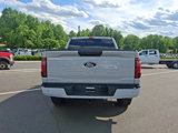 Used 2024 Ford F150 STX w/ STX Black Appearance Package image 5