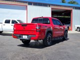 Used 2022 Nissan Frontier PRO-4X image 5