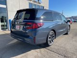 New 2025 Honda Odyssey Elite image 5