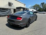 Certified 2022 Ford Mustang GT w/ Equipment Group 301A image 4