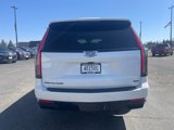 Used 2024 Cadillac Escalade ESV Sport Platinum image 6