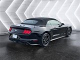 Used 2022 Ford Mustang Premium image 5