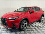 New 2025 Lexus NX 350h AWD w/ Premium Package image 3