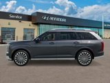 New 2026 Hyundai Palisade Calligraphy image 3