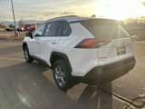 Used 2025 Toyota RAV4 XLE image 6