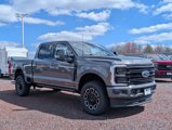 New 2025 Ford F250 Platinum image 2