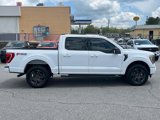 Certified 2023 Ford F150 XLT w/ Equipment Group 302A High image 2