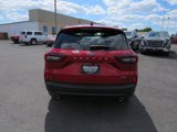 New 2025 Ford Escape ST-Line Select image 4