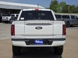 New 2025 Ford F150 Platinum image 5