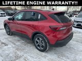 New 2025 Ford Escape ST-Line w/ Cold Weather Package image 6