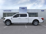 New 2025 Ford F150 XLT w/ Equipment Group 301A Standard image 3