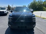 New 2025 Ford F150 Platinum w/ Equipment Group 702A High image 2