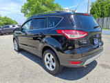 Used 2016 Ford Escape SE w/ SE Leather Comfort Package image 4