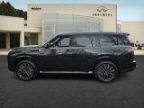New 2025 INFINITI QX80 Sensory image 3