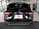 Used 2025 Ford Escape ST-Line Select image 5