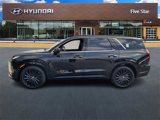 New 2025 Hyundai Palisade Calligraphy image 4