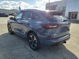 Used 2023 Ford Escape ST-Line Select w/ Class II Trailer Tow Package image 3