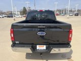 Used 2023 Ford F150 XLT w/ Equipment Group 302A High image 5