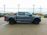 New 2025 Ford F150 STX image 2