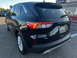 Used 2020 Ford Escape SE image 5