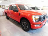 Certified 2022 Ford F150 XLT w/ Equipment Group 302A High image 5