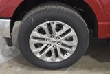 New 2025 Ford F150 XLT w/ Equipment Group 302A MID image 4