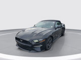 Certified 2023 Ford Mustang Premium image 2