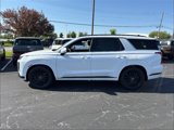New 2025 Hyundai Palisade Calligraphy image 3