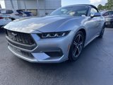 Used 2024 Ford Mustang Premium image 2