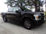 Used 2019 Ford F150 XLT w/ Equipment Group 302A Luxury image 4