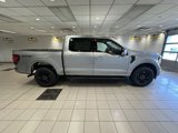 New 2025 Ford F150 XLT image 3