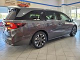 New 2025 Honda Odyssey Elite image 4