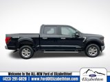 New 2025 Ford F150 XLT w/ Equipment Group 301A Standard image 2