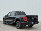 Certified 2021 Ford F150 XLT w/ Equipment Group 302A High image 3