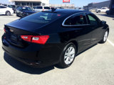 Used 2023 Chevrolet Malibu LT image 6