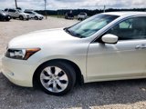 Used 2009 Honda Accord EX-L image 3