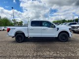 New 2025 Ford F150 XLT image 4