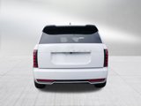 New 2026 Hyundai Palisade Calligraphy image 4
