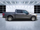 Used 2021 Ford F150 XLT w/ Equipment Group 301A Mid image 2