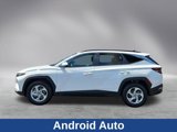 Used 2024 Hyundai Tucson SEL image 4