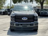 New 2025 Ford F250 Platinum image 2