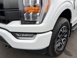 Certified 2023 Ford F150 Lariat image 4