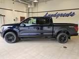 New 2025 Ford F150 Lariat w/ Equipment Group 502A High image 2