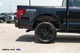 New 2025 Ford F150 Platinum image 5