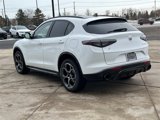 New 2025 Alfa Romeo Stelvio Sprint w/ Veloce Package image 6