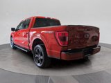 Certified 2023 Ford F150 XLT w/ Equipment Group 302A High image 3