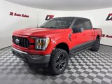 Used 2023 Ford F150 XLT w/ Equipment Group 302A High image 2